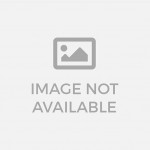 Avocado on toast with poached egg